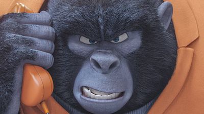 image de la news Tous en scène : découvrez le gorille fan de Sam Smith