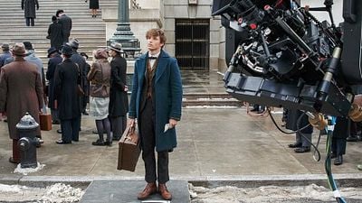 image de la news Featurette Les Animaux Fantastiques :  J.K. Rowling nous présente son nouveau héros, Norbert Dragonneau