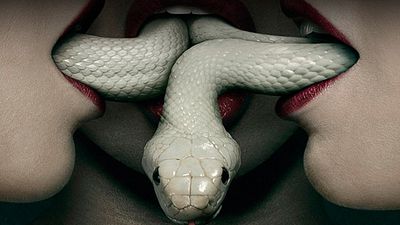 image de la news American Horror Story : ce teaser annonce-t-il une créature étrange pour la saison 6 ?