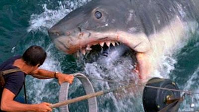 image de la news Les Dents de la mer sur Paris Première : saviez-vous que Richard Dreyfuss avait été doublé par un acteur de petite taille ?