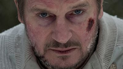 image de la news Le Territoire des Loups sur C8 : 5 choses à savoir sur le film avec Liam Neeson !