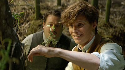 image de la news Sorties cinéma : Les Animaux Fantastiques et Vaiana au coude à coude