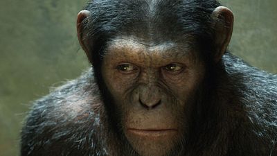 image de la news La Planète des Singes - Suprématie est-il le dernier épisode de la saga ?