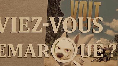 Aviez-vous remarqué ? Les petits détails cachés de Volt, star malgré lui