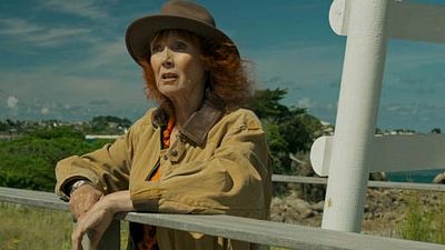 image de la news La Planète des Singes - Suprématie, Cars 3, Crash Test Aglaé... Les sorties de la semaine !