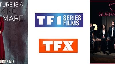 HD1 et NT1 se métamorphosent et deviennent TF1 Séries Films et TFX