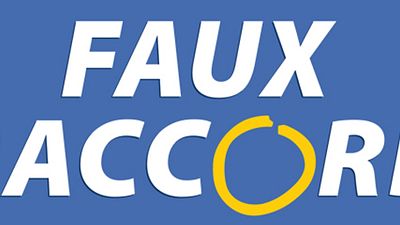 image de la news Faux Raccord : Michel et Michel accusés d'avoir inventé des gaffes !