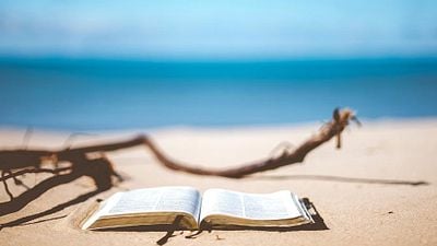 image de la news 15 conseils lectures ciné-séries pour l'été !