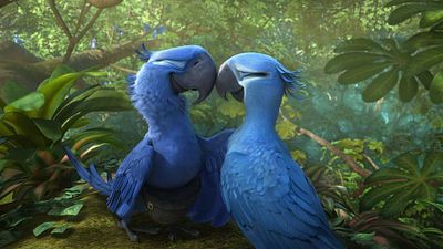 image de la news Rio : les perroquets du film font désormais partie des espèces disparues
