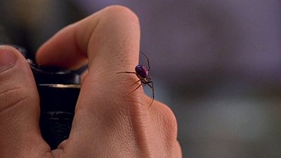 image de la news Marvel : voir Spider-Man ou Ant-Man aiderait à lutter contre les phobies !