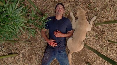 image de la news 2010-2019 : les 15 épisodes de séries les plus marquants de la décennie