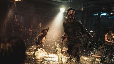 image de la news La suite de Dernier Train pour Busan, Ip Man 4 plus fort que Star Wars en Chine... Les bandes-annonces à ne pas rater