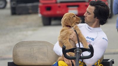 image de la news Dans les yeux d'Enzo sur Disney + : un film familial à découvrir si vous avez aimé Hatchi et Mes vies de chien