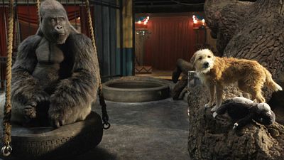 image de la news Le Seul et unique Ivan sur Disney+ : 3 questions à Fred Testot