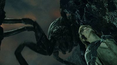 image de la news Le Seigneur des Anneaux : à quoi ressemble la véritable araignée qui a inspiré le look d'Arachne ?