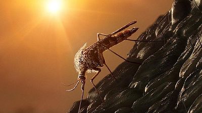 image de la news Jurassic World 3 : on a vu les 5 premières minutes du Monde d'après à Cannes !