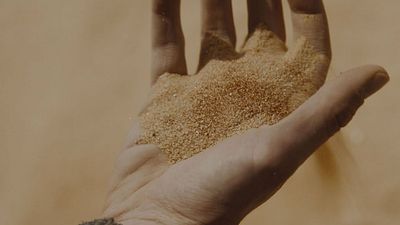 image de la news Dune en 15 chiffres : 4 jours de tournage pour Zendaya, 19 adversaires pour Jason Momoa, une zone interdite pour la première fois au cinéma...