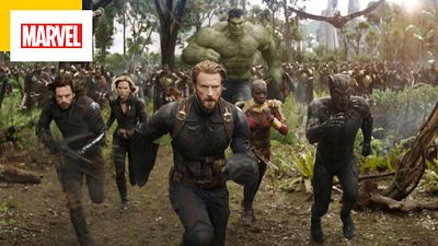 image de la news Marvel : un fan a remonté le MCU en un seul film de 50 heures !