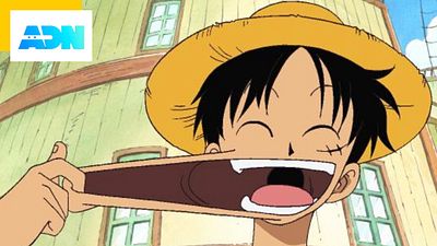 image de la news One Piece sur ADN : déjà 1000 épisodes pour la série phénomène !