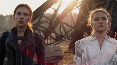 image de la news VOD : quels sont les films à voir cette semaine du 7 au 13 novembre ?