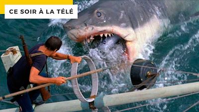 image de la news Les Dents de la mer : quelle célèbre émission télé a détourné la musique du film ?
