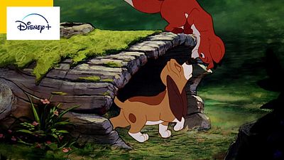 image de la news Rox et Rouky : découvrez l'horrible fin de l'oeuvre originale