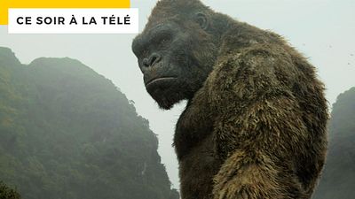 image de la news Kong Skull Island sur TF1 : l'avenir du MonsterVerse est-il compromis ?