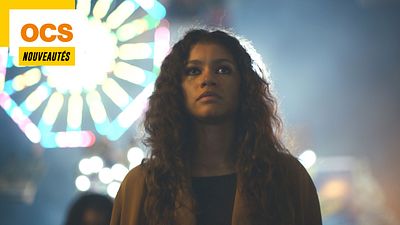 image de la news OCS : les films et séries à voir en janvier d'Euphoria saison 2 à Eté 85