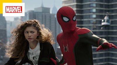 image de la news Spider-Man : Kaamelott et son record de visionnages battus par un Américain avec No Way Home