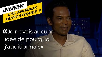 image de la news Un Français dans Harry Potter : William Nadylam nous raconte son casting et le tournage des Animaux Fantastiques