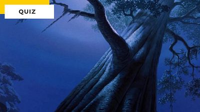 image de la news Quiz Disney : à quels films appartiennent ces arbres ?