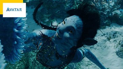 image de la news Avatar 2 plus long que le 1 ? James Cameron pousse un coup de gueule contre les râleurs