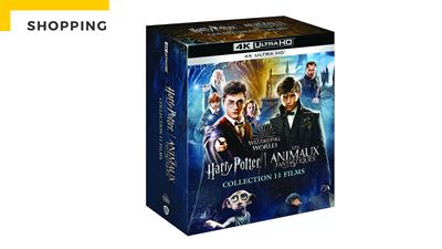 Wizarding World : Harry Potter et Les Animaux Fantastiques dans un seul coffret… et en 4K Ultra HD !