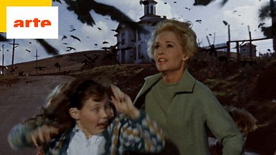 image de la news Les Oiseaux sur Arte : la terrifiante histoire vraie qui a inspiré le film d'Hitchcock