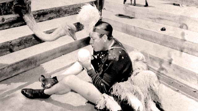 image de la news Quand la promotion d’un film va un peu trop loin : Jim Moran, l'homme qui a couvé un oeuf d’autruche pendant 19 jours