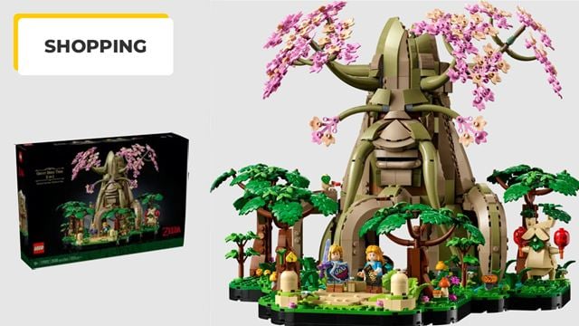 Zelda : partez à l'aventure avec le premier LEGO dédié à l'univers du jeu vidéo