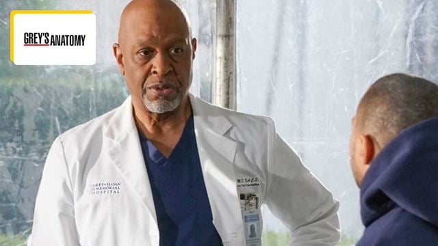 "Votre histoire m’a donné un coup de pouce" : ce personnage de Grey's Anatomy a eu un fort impact sur les téléspectateurs