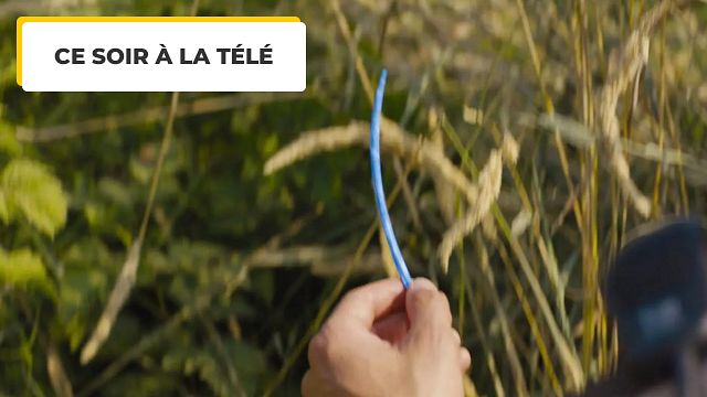 image de la news Ce soir à la télé : la pop culture en a fait un phénomène, le cinéma l'a transformé en mégastar