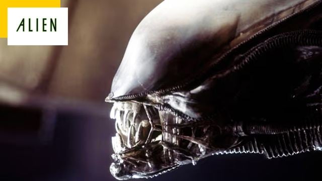 "Il y a quelque chose qui ne marche pas" : bonne nouvelle, la série Alien va ignorer Prometheus et Covenant !