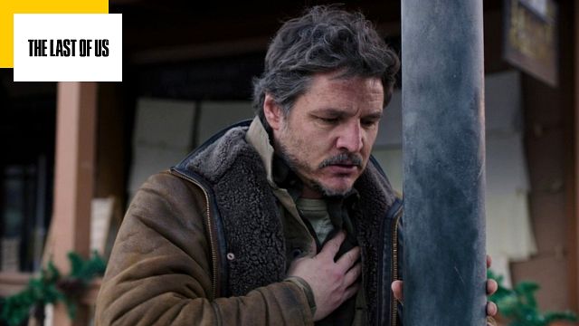 image de la news The Last of Us : Pedro Pascal blessé, la saison 2 de la série retardée ?