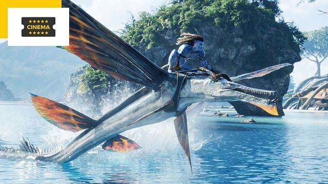 image de la news Avatar : La Voie de l’Eau : 3 raisons de se plonger dans l'expérience Dolby Cinema