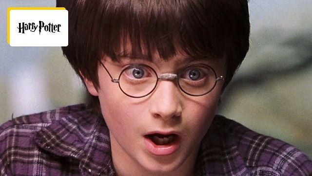 Harry Potter : 32 000 enfants auditionnés ? La production de la série est véritablement lancée !