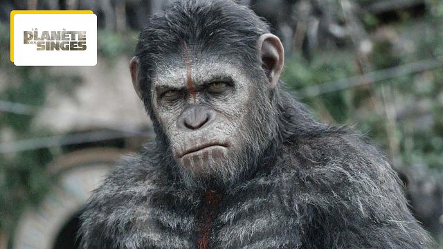 image de la news La Planète des singes 2024 : Andy Serkis (César) est-il impliqué dans Le Nouveau Royaume ?