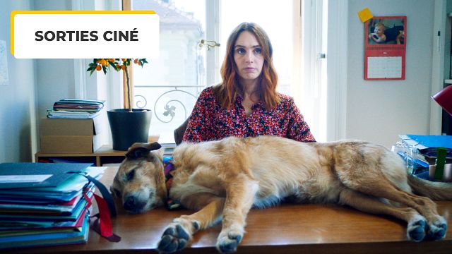 image de la news Le Procès du chien au cinéma : on vous dit tout(ou) sur cette pépite drôle, touchante et profonde et sur Kodi, sa star à quatre pattes !