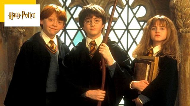 image de la news Harry Potter la série : les propos controversés de J.K Rowling ? Ce n'est pas une priorité pour HBO