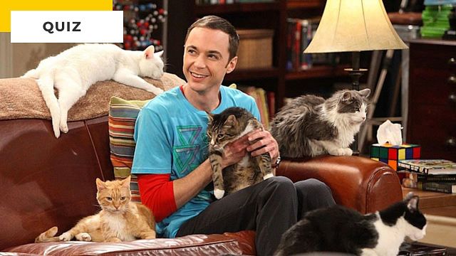 image de la news Quiz Séries : la dernière question pourrait vous priver du 7/7 !