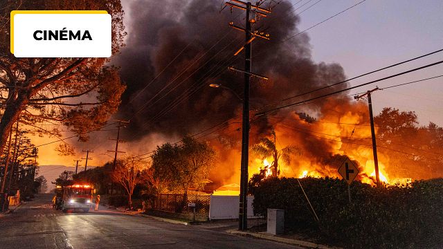 image de la news Hollywood ravagé par des incendies : l'industrie cinéma est impactée mais de quelle manière ? Explications
