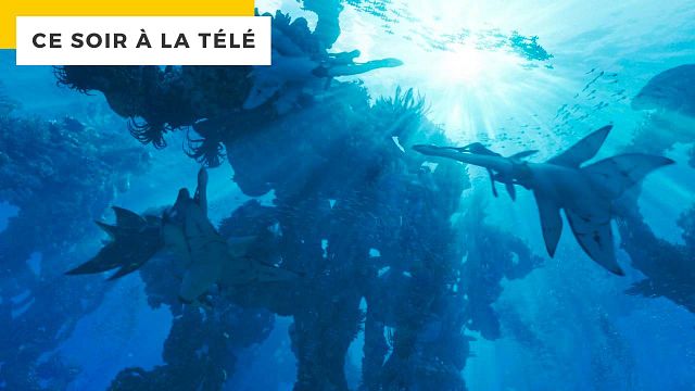 image de la news Ce soir à la télé : ce film est le 3ème plus gros succès mondial de tous les temps et il est diffusé ce soir