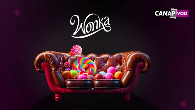 Wonka, la suite des Trois Mousquetaires, la saga S.O.S Fantômes… : où voir les derniers succès ciné depuis votre canapé ?