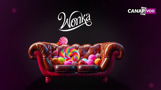image de la news Wonka, la suite des Trois Mousquetaires, la saga S.O.S Fantômes… : où voir les derniers succès ciné depuis votre canapé ?